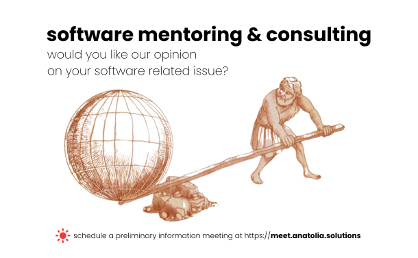 Software related Mentoring and Consulting